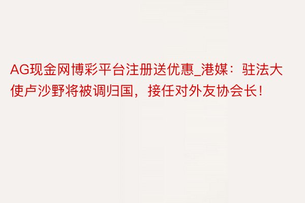 AG现金网博彩平台注册送优惠_港媒：驻法大使卢沙野将被调归国，接任对外友协会长！